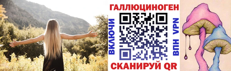 Псилоцибиновые грибы прущие грибы  Нюрба 